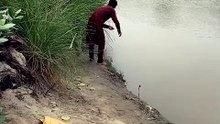 Pani me gai machli