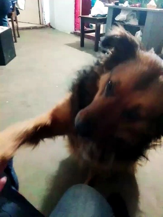 La nena