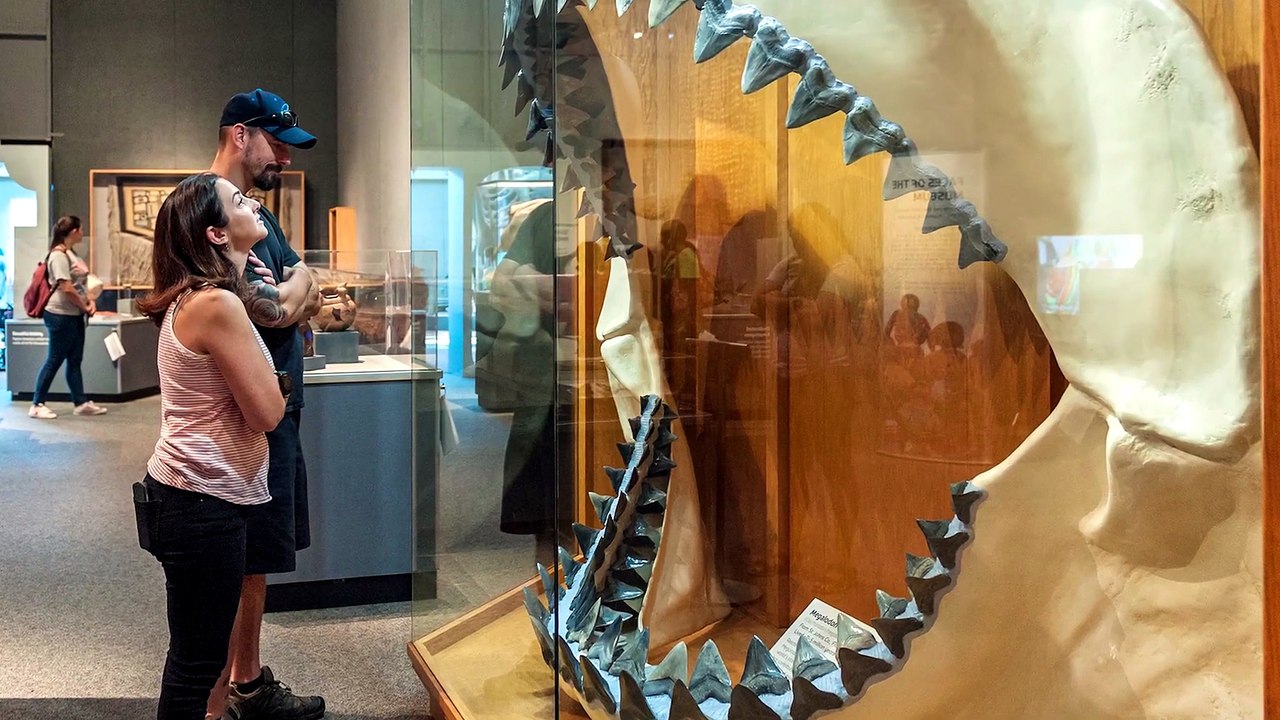 Scientists Just Confirmed Megalodon's TRUE Size (It's Terrifying)
