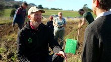 Volunteers plant native trees to help revive and restore the Sorell Rivulet