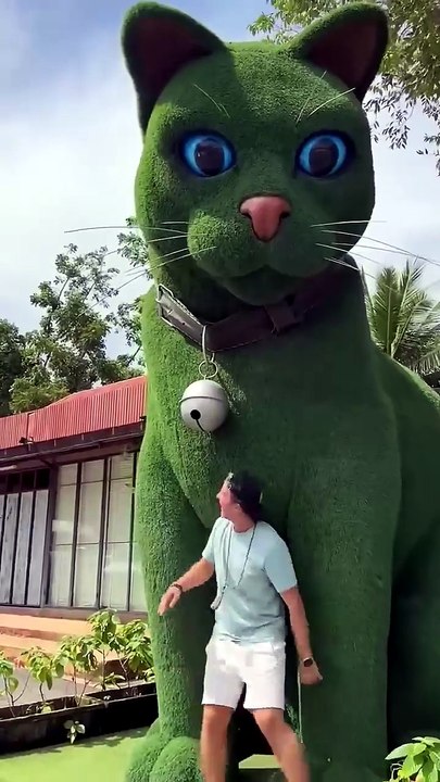 This Cat Is Really Alive! 😹🐾🥰