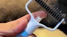 Flawless Fur in One Tool – Spray Deshedding Brush for Cats & Dogs