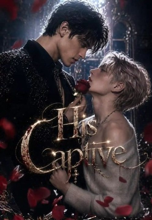 💗💗His Captive 💗💗