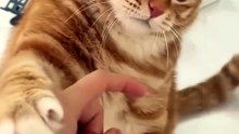 Don't Touch Me. . 🙀🙀🙀
