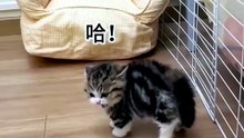 So Cute 😍😍😍