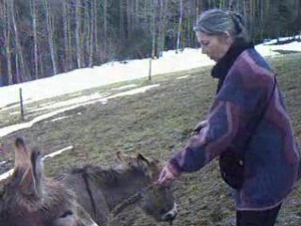 Marie-francoise aux deux-ânes! 2005