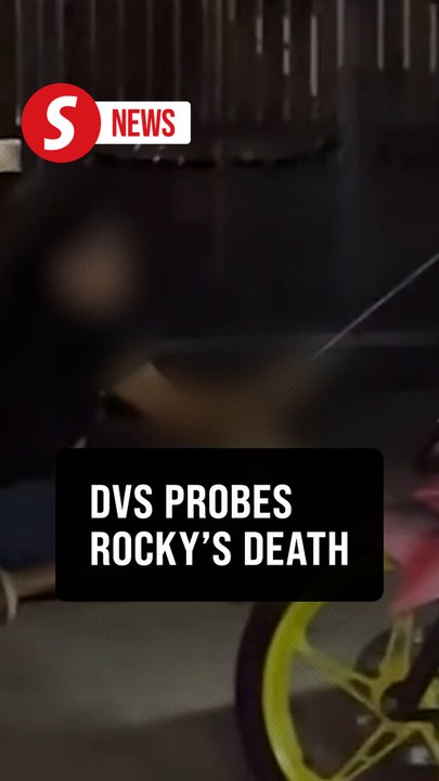 Selangor DVS assures thorough, fair probe into Rocky’s death