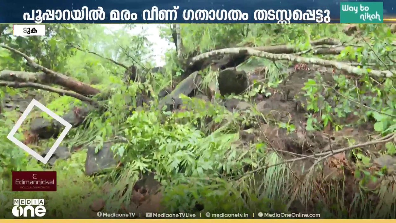 'ഒരു സേഫ്റ്റിയുമില്ല'; ഇടുക്കിപുത്തേട്ടിൽ മണ്ണിടിഞ്ഞ് റോഡ് അടഞ്ഞു; 7 കുടുംബങ്ങൾ ഒറ്റപ്പെട്ടു