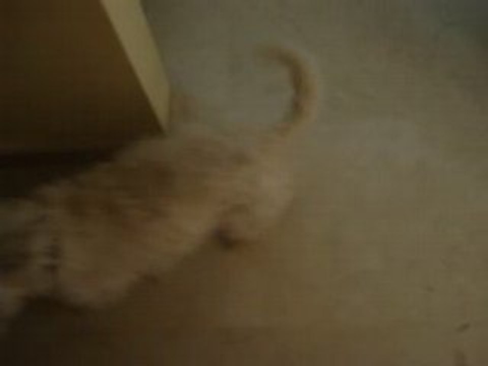 Eliott nos début (3)