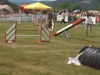 Le Creusot 2008 Twix Agility