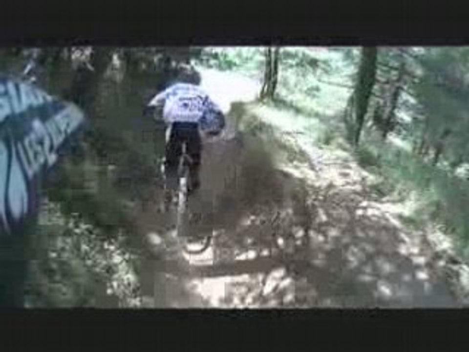 Les 2 Alpes : Piste de descente VTT des sapins