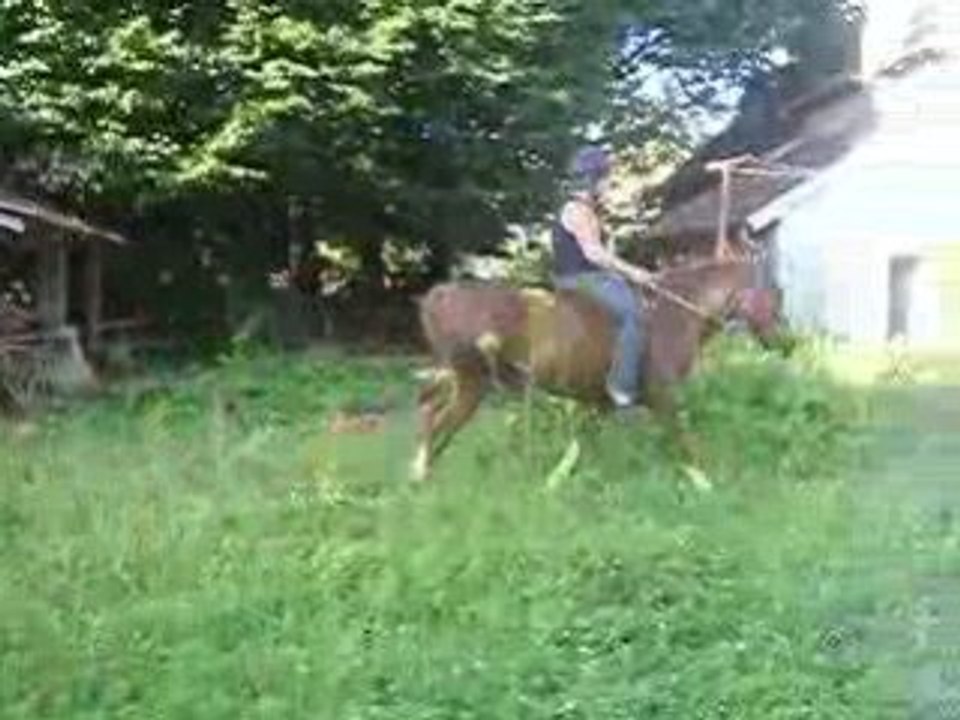 Moi et Champion
