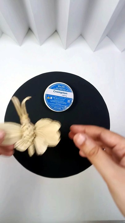 Turning Corn Husks Into Art | DIY Butterfly