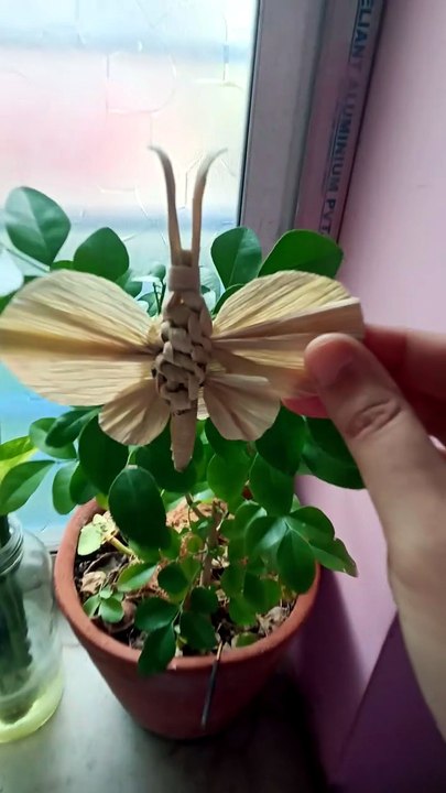 How to Make a Butterfly from Corn Husks | Easy Nature Craft Tutorial