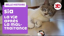 A New Life For Sia | Sauvetage d'animaux