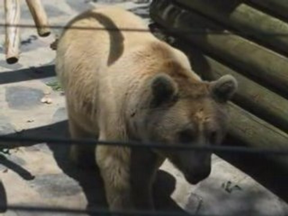 Zoo de Servion
