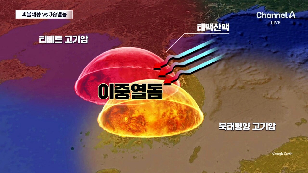 괴물 태풍 vs 3중 열돔…돌핀의 선택은?