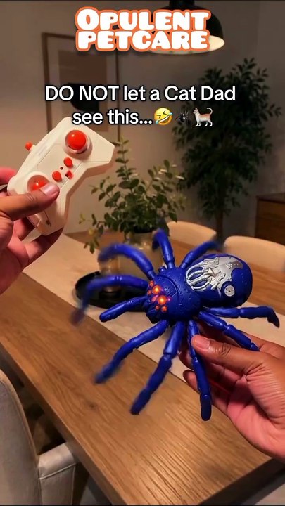 Cross-Border RC Wall-Climbing Spider Toy – 360°...