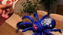 Cross-Border RC Wall-Climbing Spider Toy – 360° Rotation, Climbs Walls & Windows, Pet-Safe Fun Gadget