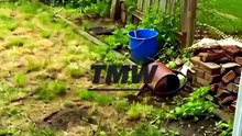 Extreme Backyard Renovation: Building a Custom Wooden Deck & Patio 🛠️🏡