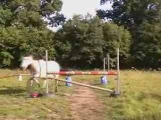 JOnquille, sOn histoire