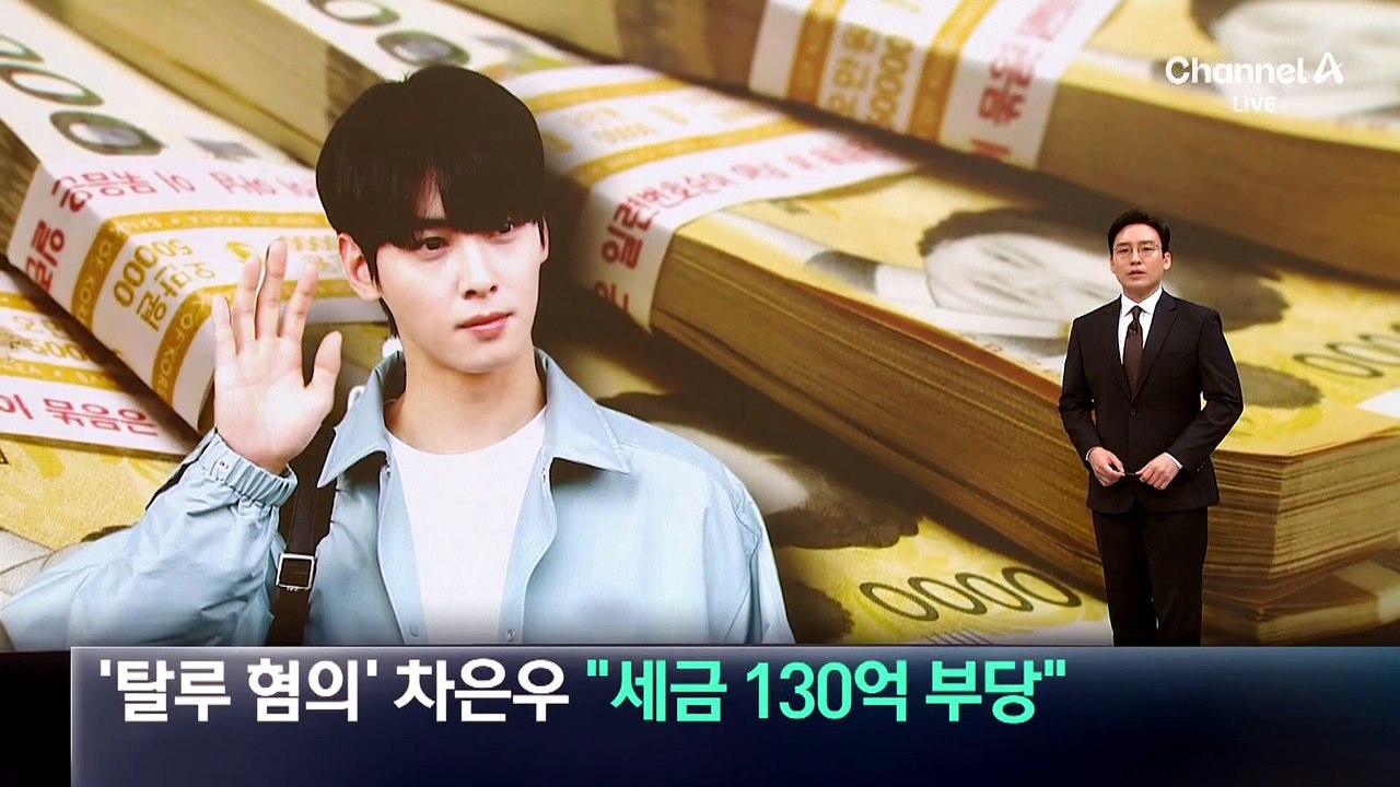 ‘탈루 혐의’ 차은우 “세금 130억 부당” 조세심판 청구