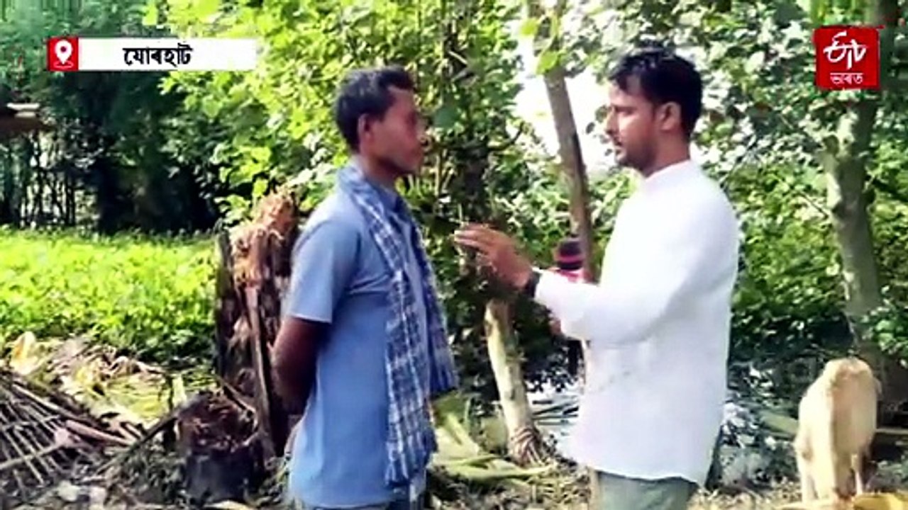 পশুধনক খুৱাবলৈ নাই পৰ্যাপ্ত খাদ্য, উপায়হীন বানাক্ৰান্ত পশুপালক
