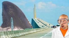 ¡El megalodón destruyó el puente y necesitamos ayuda!