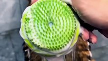 Bath Brush for Dogs & Cats — Water-Dispensing Silicone Grooming Brush with Comfort Grip Handle