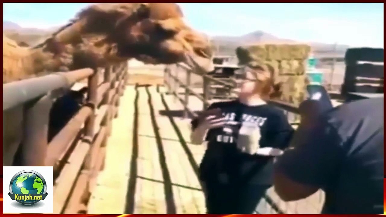 Hot Girls' Very Funny Fails