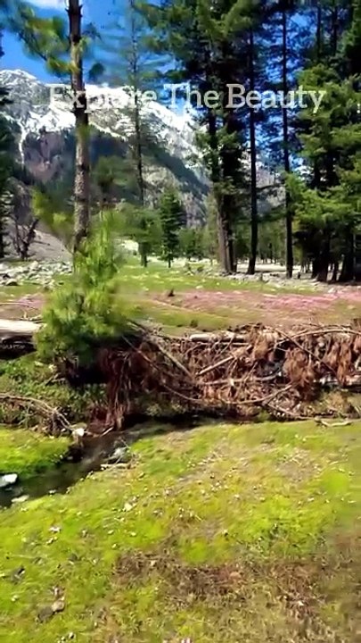 Lush Green Places | Explore the Beauty #traveling #nature