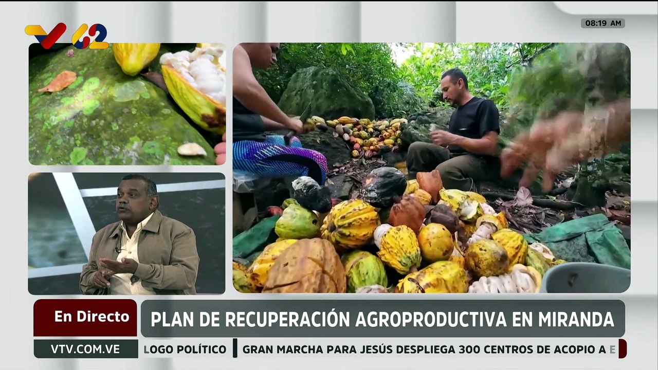 Juan Aponte exhortó a preservar la semilla de cacao autóctona de Venezuela