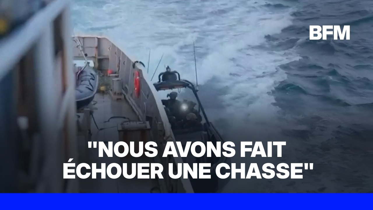 Un navire de la Fondation Watson arraisonné en Islande lors d'une action contre la chasse à la baleine