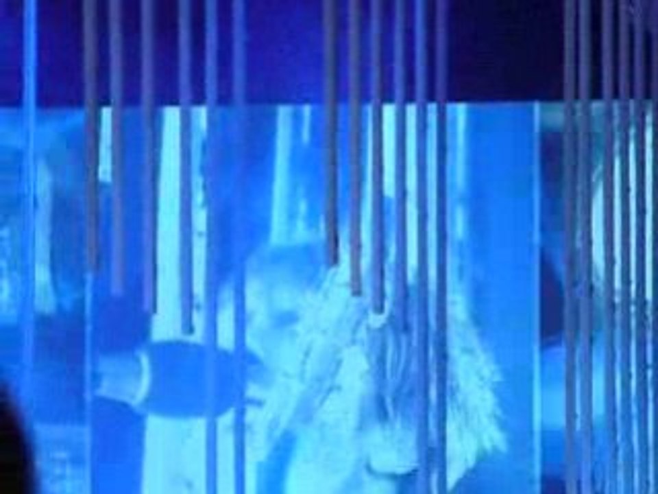 Main Square Festival Arras