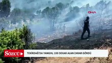 Tekirdağ’da yangın; 100 dekar alan zarar gördü