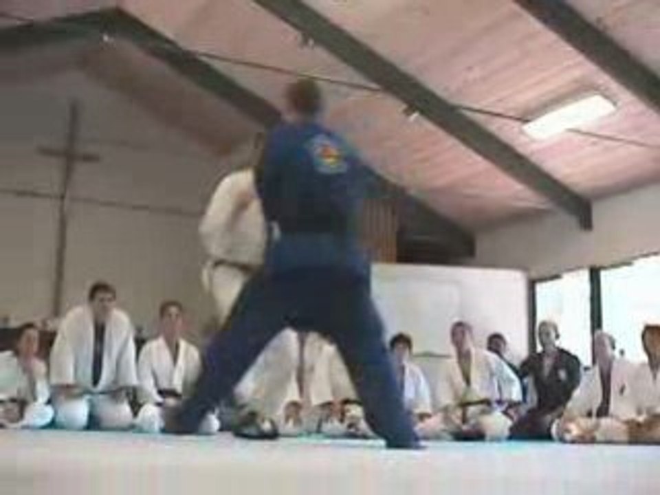 Jujitsu Violent