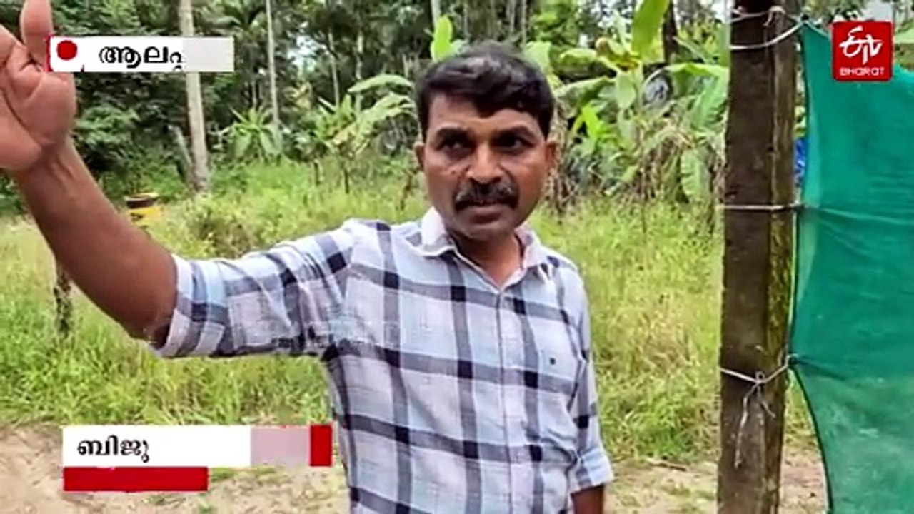 കുഴിയിൽപ്പെട്ട് വാഹനങ്ങൾ, അരൂക്കുറ്റിയിലെ അപകടകരമായ സഞ്ചാരപാതയ്‌ക്ക് പരിഹാരം വേണമെന്ന് യാത്രക്കാർ