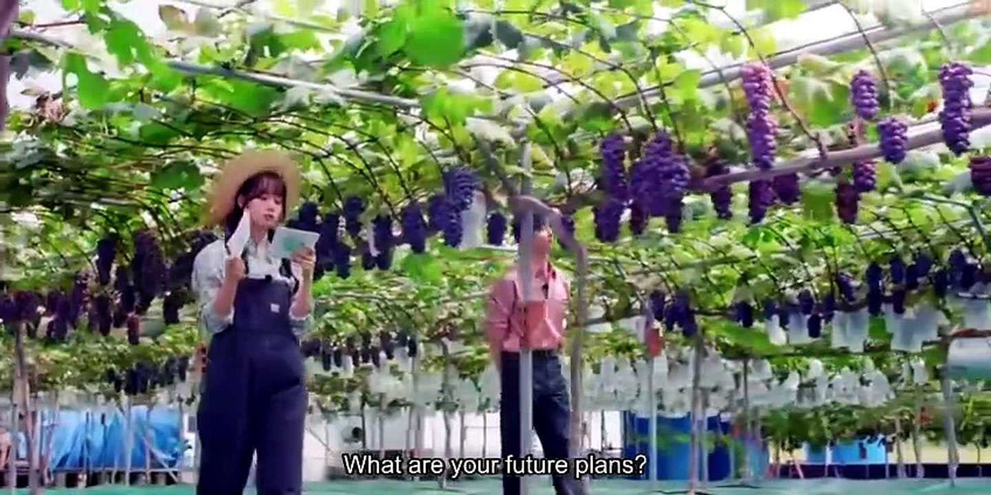 Dream To You Canyon Reels – Episode 2 ENGLISH SUBTITLES (2026)