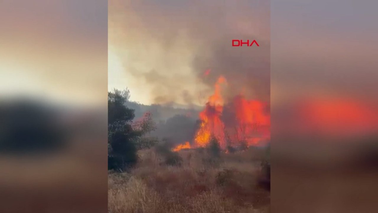 Çanakkale’de orman yangını