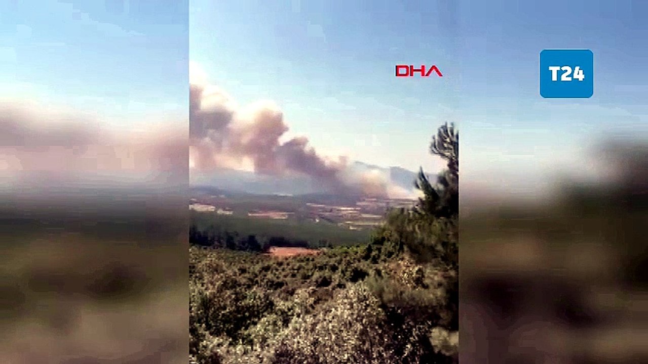 Çanakkale’de orman yangını