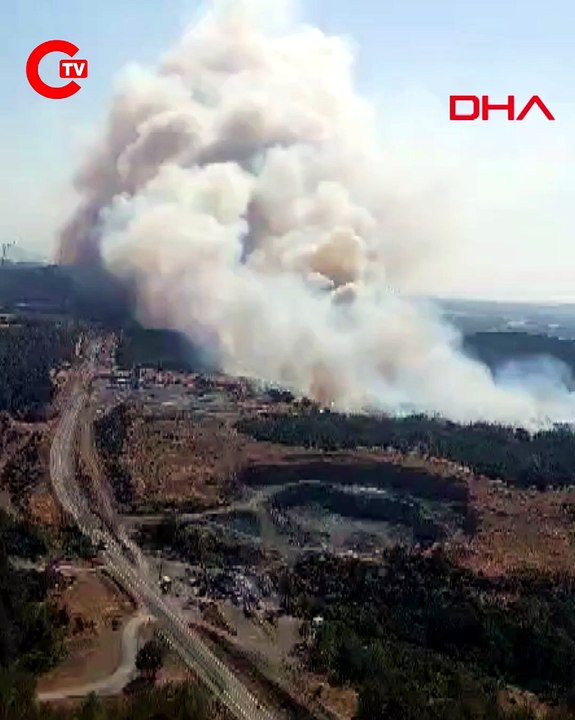 Çanakkale'de orman yangını