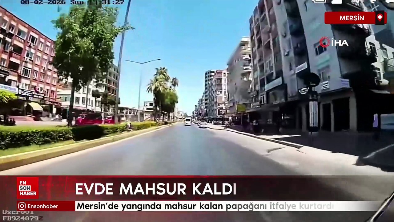 Mersin'de yangında mahsur kalan papağanı itfaiye kurtardı