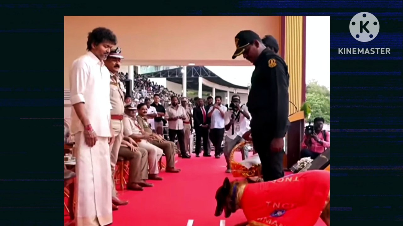 A salute worth taking