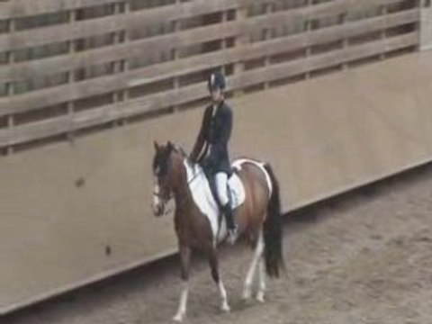 Irokwa et moi avant notre reprise de dressage le 06/07/08