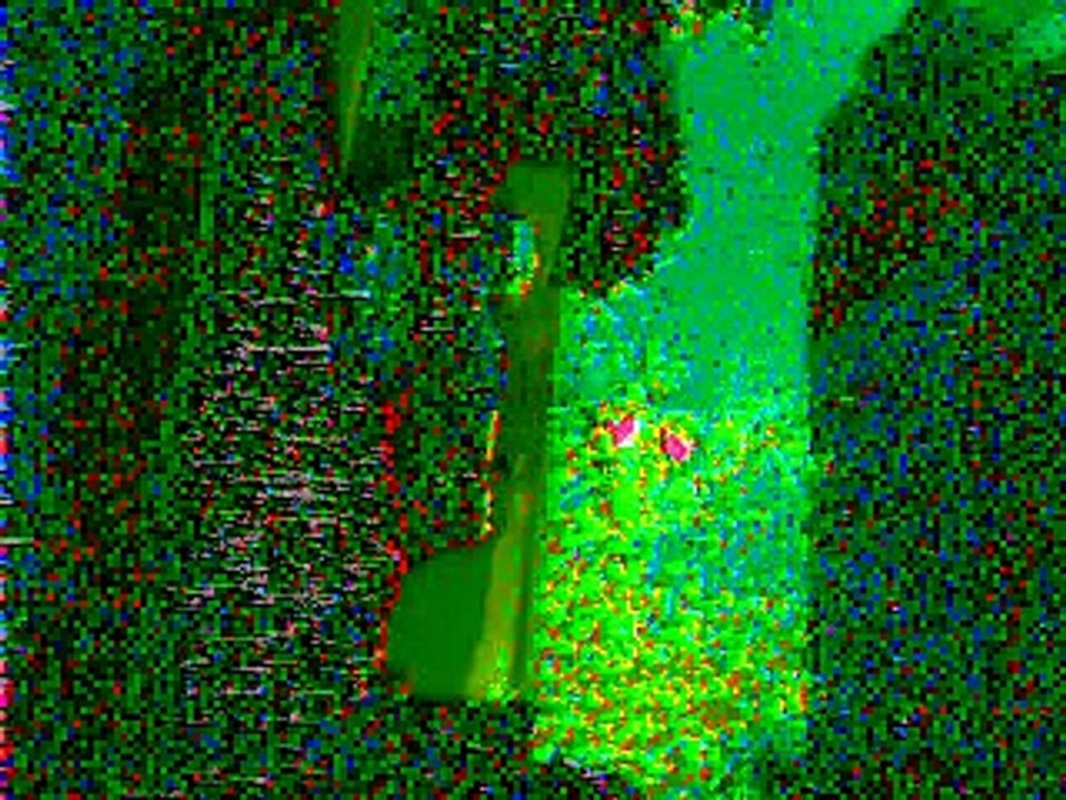 Video0003