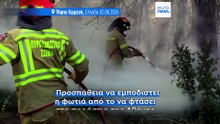 Πυρκαγιές στην Ευρώπη: Υπό έλεγχο οι φωτιές στη Γαλλία, νέες εστίες στην Ισπανία