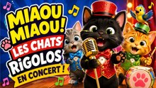 😹 MIAOU MIAOU ! Les Chats Rigolos en Concert 🐱 | Comptine pour Enfants | Chanson Animée