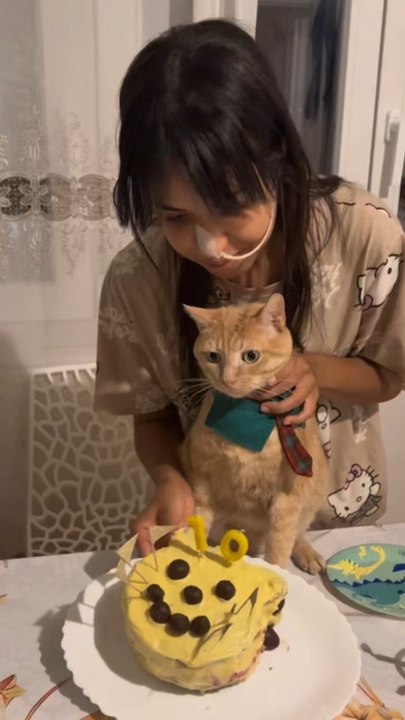 🎉Les 10 ans de mon chat Chi-Chi🐈🧡
