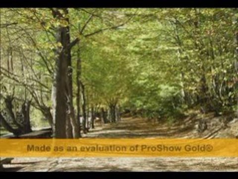 Kirsehirli-veli-harun-yerkoy-net