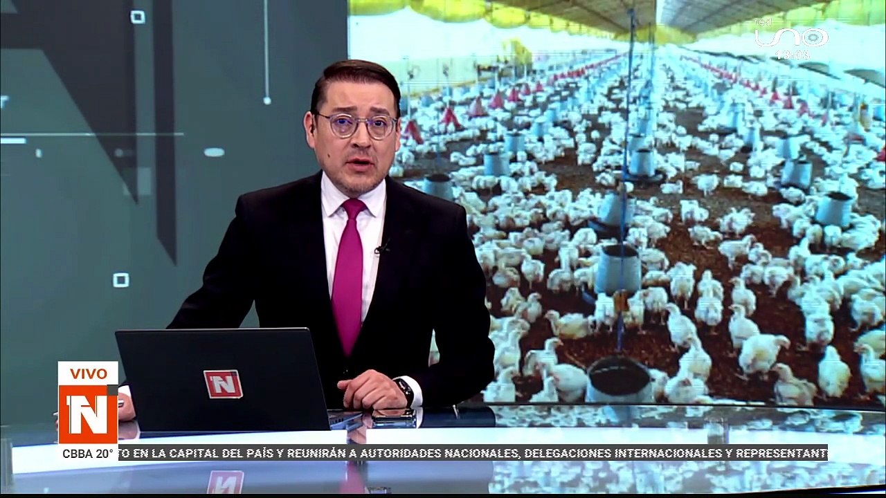 PRECIO DEL POLLO EN AUMENTO